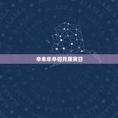辛未年辛卯月庚寅日，中国干支历法