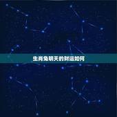 生肖兔明天的财运如何，属兔人今年的财运