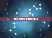 紫薇命盘免费算命2022，紫薇命盘 详解免费