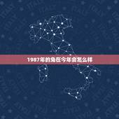 1987年的兔在今年会怎么样，1987年属兔人2022 年运气