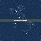 跟鼠最配的属相，与鸡相合的属相