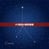87兔和95猪的姻缘，1995年女配1987年男不