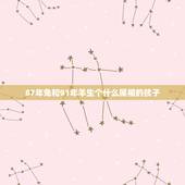 87年兔和91年羊生个什么属相的孩子，87年属兔先生和91年属羊太太能