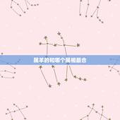 属羊的和哪个属相最合，属羊的和什么属相合更好