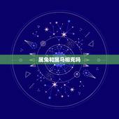 属兔和属马相克吗，属马和属兔的合财吗