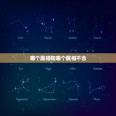 哪个属相和哪个属相不合，鼠跟什么属相不合