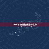 1986年的虎到底是什么命，1986年虎年是五行什么命？