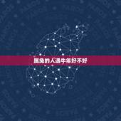属兔的人遇牛年好不好，属兔的人牛年运势
