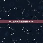 十二生肖每月运势详解20220，12生肖运势2022 年运势详解势详解