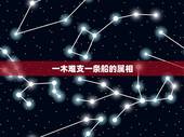 一木难支一条船的属相，十二生肖中一木难支的动物