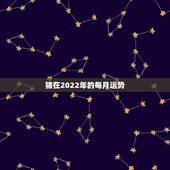 猪在2022年的每月运势，7|年属猪男2021年的每月运势？