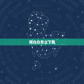 陶白白怎么下载，陶白白怎么火的