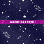 78年马和79年羊做夫妻合吗，78年马和79年的婚姻如何