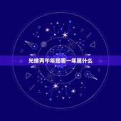 光绪丙午年是哪一年属什么