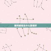 猪妈猫爸生什么属相好，属猪的人生什么属相的宝贝好？