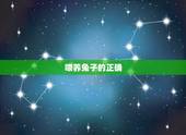 喂养兔子的正确  ，在农村家兔怎么养