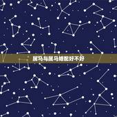 属马与属马婚配好不好，属马与属马的人相配吗