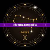 2022年属牛是什么命运，属牛2022年运势及运程女性