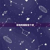 羊和鸡相配生个虎，羊和龙属相合不合