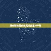 属虎婚配属虎生属虎宝宝好不好，女属虎男属蛇生羊年羊年的宝宝属羊的好不好