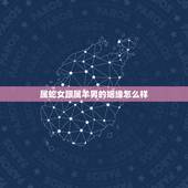 属蛇女跟属羊男的姻缘怎么样，属蛇和属羊的合财吗