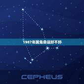 1987年属兔命运好不好，1987年属兔人的命运
