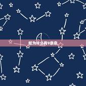 蛇为什么有9条命，猫有九条命读后感