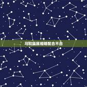马和鼠属相婚配合不合，属马属鼠 婚配属相相冲吗？如果相冲，如何化解