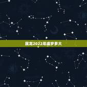 属龙2022年虚岁多大，2022 年虚岁年龄对照表