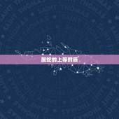 属蛇的上等时辰，属蛇几月出生最富贵