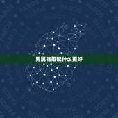 男属猪婚配什么更好，属猪男和属鼠女相配吗