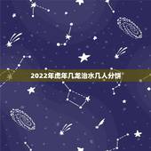 2022年虎年几龙治水几人分饼，2018年几人分饼几龙治水。几牛耕田，