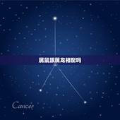 属鼠跟属龙相配吗，属鼠和属龙的人相配吗