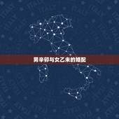 男辛卯与女乙未的婚配，请问您高人合婚 女丁巳年 丙午月 乙未日 庚辰时