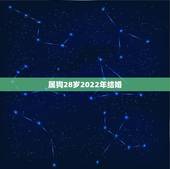 属狗28岁2022年结婚，新郎属狗新娘属兔在2022年结婚好吗？