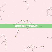 男女结婚什么生肖配对，男女属相配对