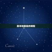 属羊和属鼠的婚配，男属羊女属鼠相配吗