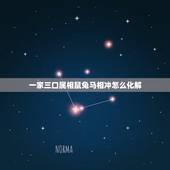 一家三口属相鼠兔马相冲怎么化解，属相相冲如何化解