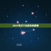 2021年三个比较合的属相，2021年发横财的生肖有哪些？