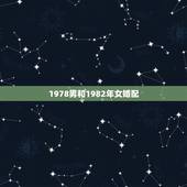 1978男和1982年女婚配，1978年属马女和1972年属鼠男合婚吗