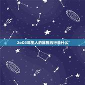 2oO3年生人的属相五行是什么，2003年阳历1月23日属马出生五行属
