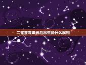 二零零零年元月出生是什么属相，请问二零零一年生肖是什么二零零二年的生肖