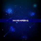 2022年20岁属什么，12生肖数字表图2022