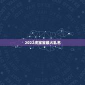 2022虎宝宝最火乳名，2023年最火小名