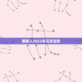 属猴人2022年五月运势，属猴人2022年运势及财运