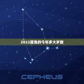 2022属兔的今年多大岁数，属龙今年多大2022