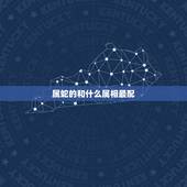 属蛇的和什么属相最配，属蛇和什么属相最配