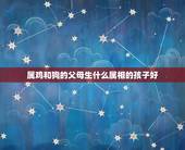 属鸡和狗的父母生什么属相的孩子好，父亲属鸡，母亲属狗，生什么属相的孩子