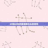 69和68年的属相能白头到老吗，我是六八年属猴老公五八年属猴能白头到老