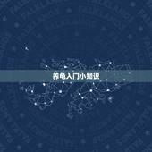 养龟入门小知识，我是个初学者养金钱龟它是只幼龟谁能告诉我一些养龟的知识